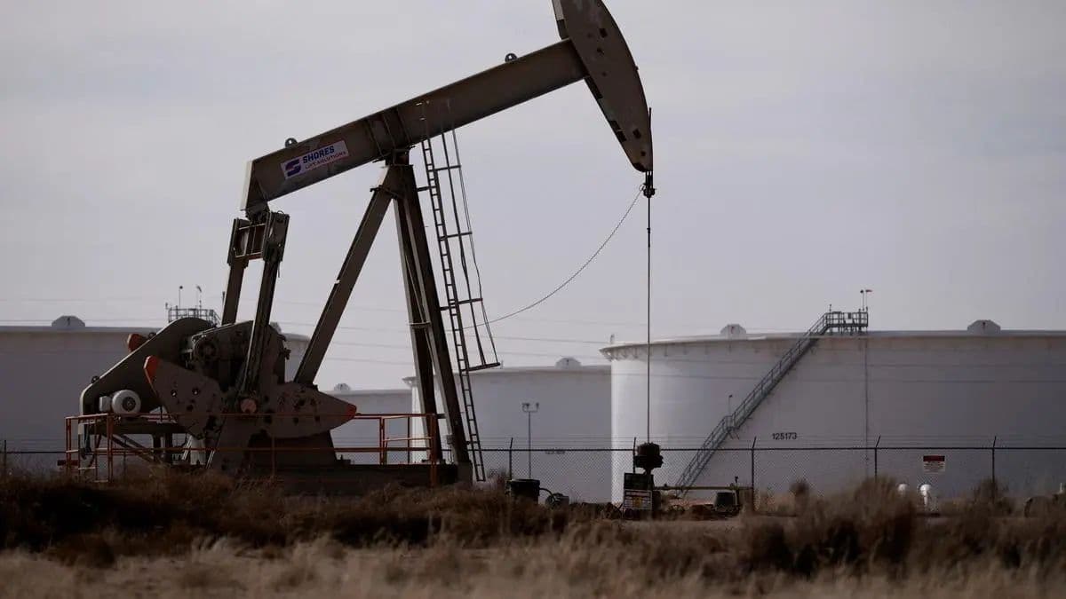 Commodity Market Trends Impacting National Commodity & Derivatives Exchange Shares