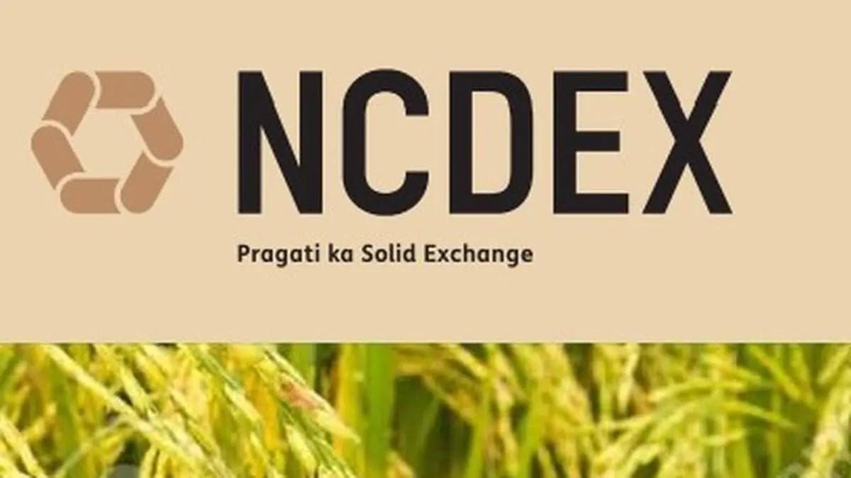 NCDEX Gears Up for Equity Market Entry Following SEBI's Conditional Approval, Expanding Investment Opportunities